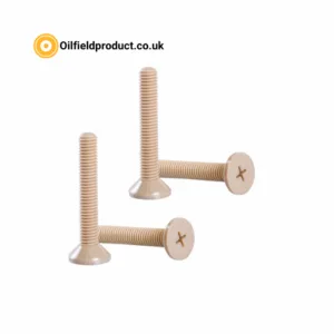PEEK Flat Head Phillips Screw