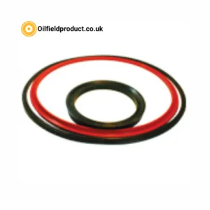 Large Bore Piston Seals