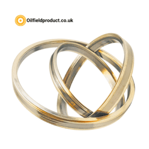 Pressure Seal for Pressure Seal Valves